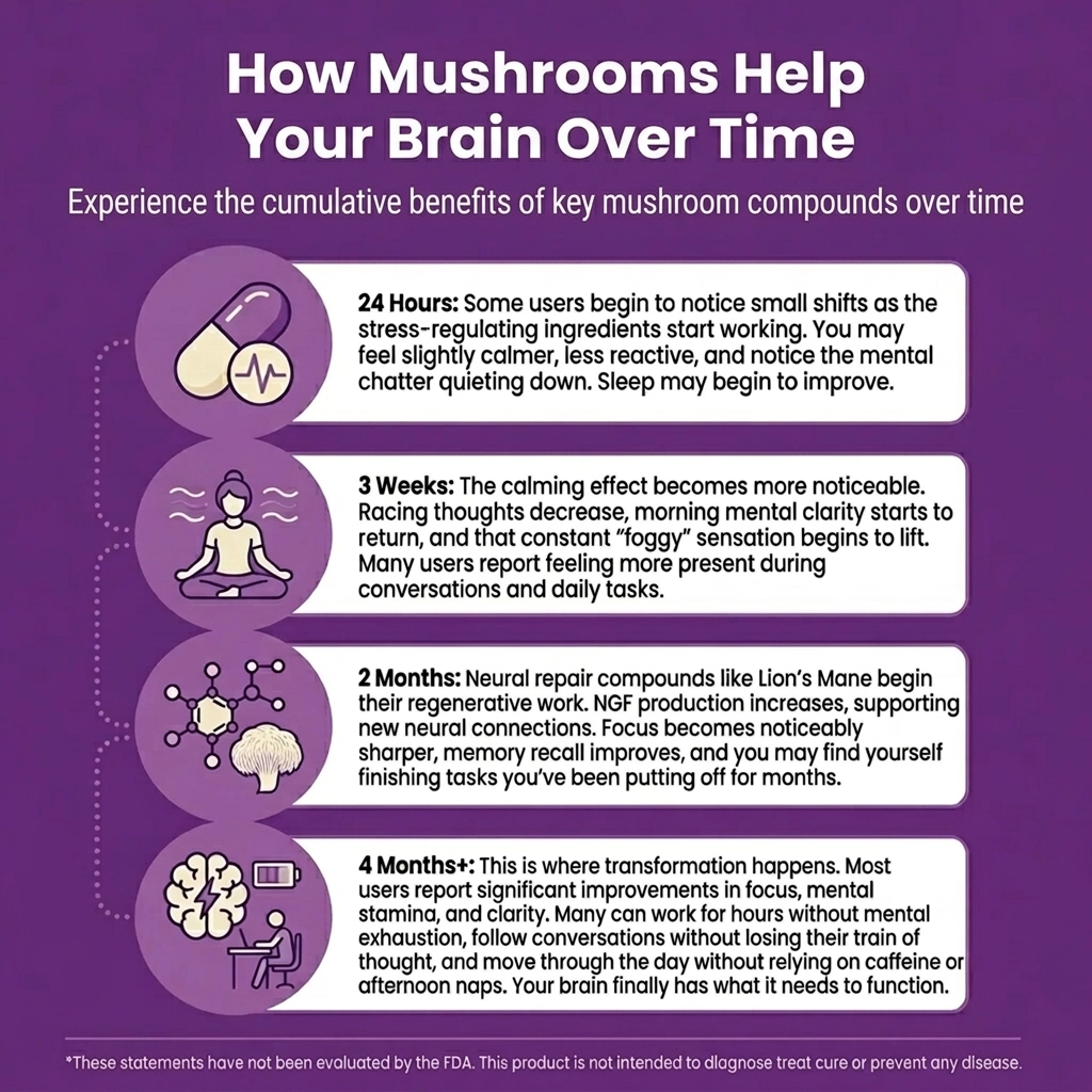 Ultimate Mushroom Daily Gummies™